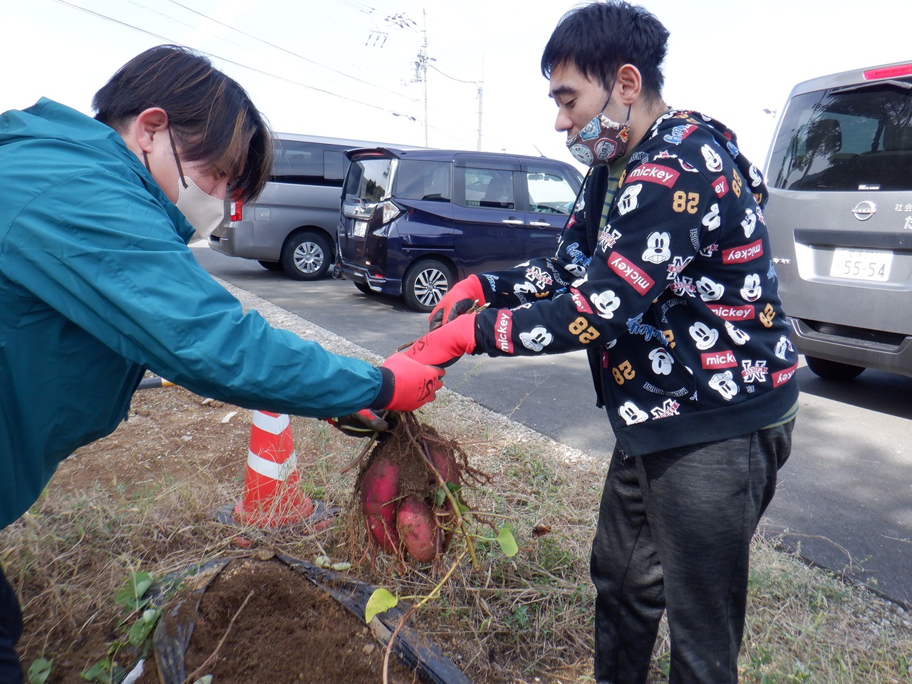 たのしみ初‼事業所内の畑で芋ほり🍠～秋の実りをみんなで収穫～
